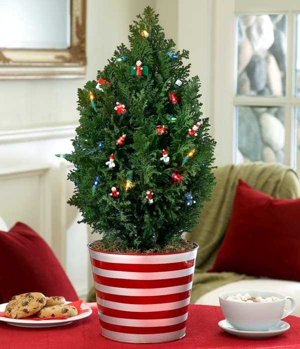 Christmas Tree in pot – the festive decor and beautiful addition to the garden | Interior Design ...