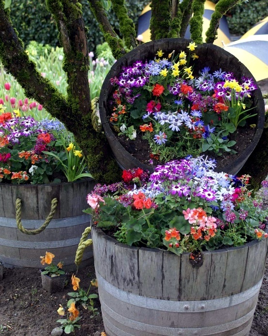 flowers garden planting creative wine attractive illusions creating barrel barrels gardens flower whiskey planters country container planter pots containers old