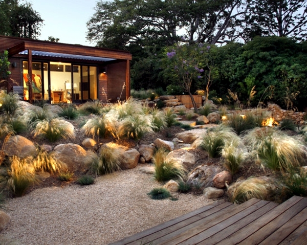 Perennials in the garden – design ideas with pampas grass | Interior