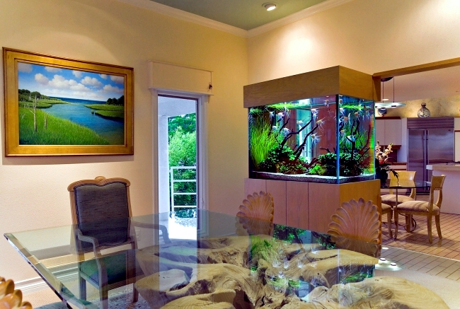 aquarium living room ideas