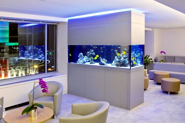 100 ideas integrate aquarium designs in the wall or in the