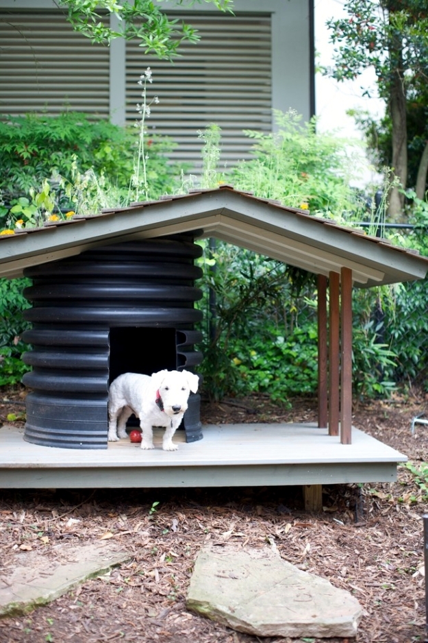 Fun for dogs in the garden - Tips for pet-friendly garden ...