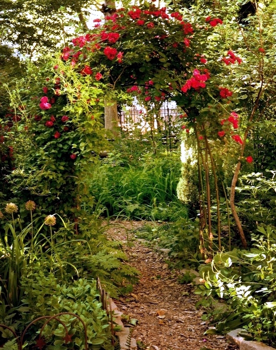 Pond garden design geometric garden with a pond landriana garden ...