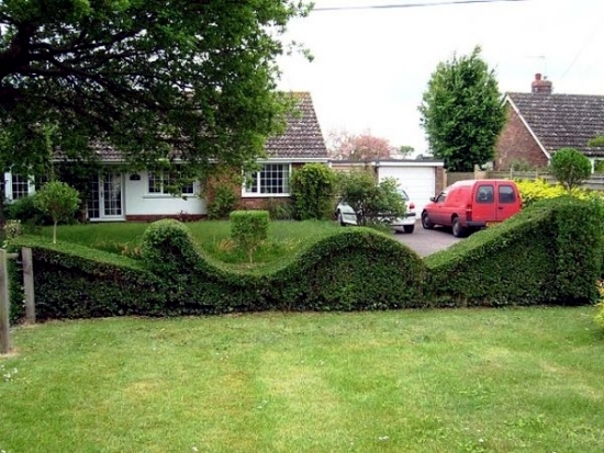 Evergreen hedge cutter 23 fresh design ideas for gardeners