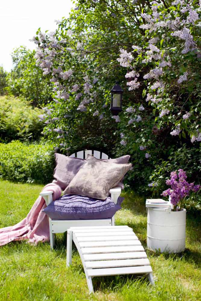 Garden & Outdoor Garden & Outdoor