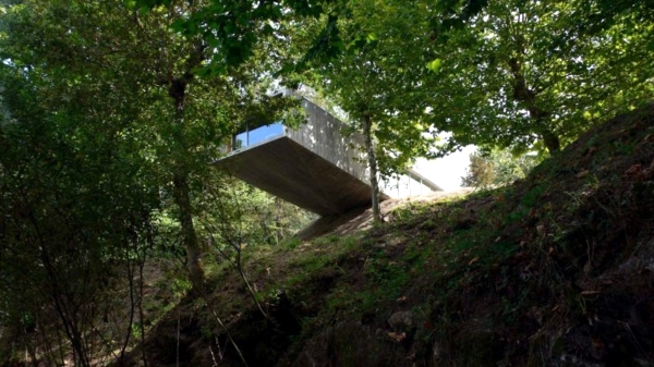 Escape to the Jungle – Minimalist Forest House | Interior Design Ideas