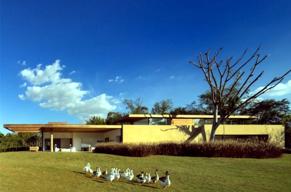 House with pond exotic architecture of Brazil