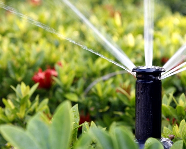 watering the lawn - Tips for lawn care