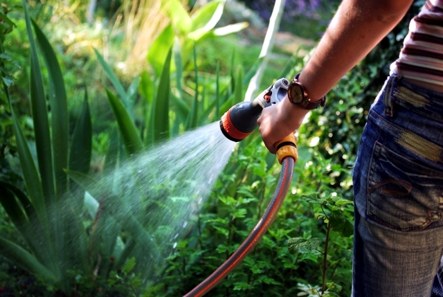 watering the lawn - Tips for lawn care