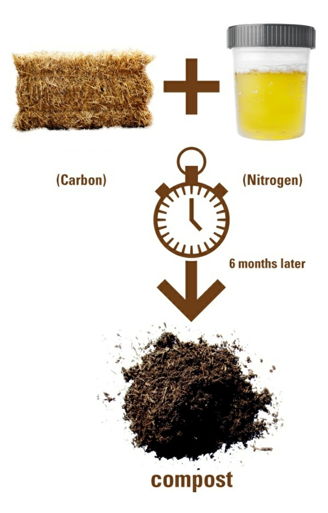 Living Green - Urinary using straw composting