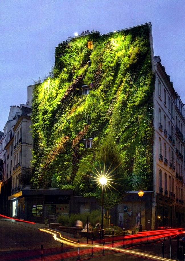 Patrick Blanc wide facade greening promotes environmental protection