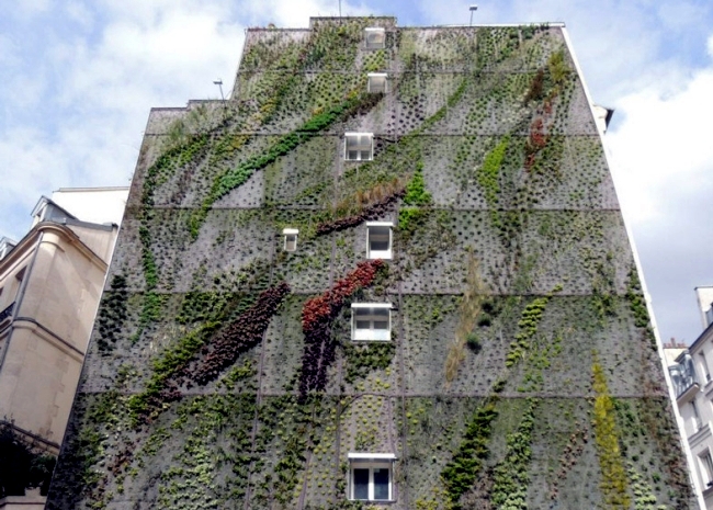 Patrick Blanc wide facade greening promotes environmental protection