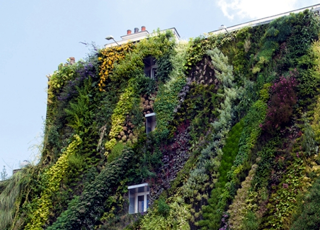 Patrick Blanc wide facade greening promotes environmental protection