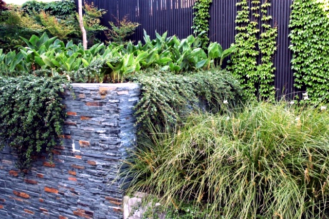Texture and shape as elements of modern design garden design