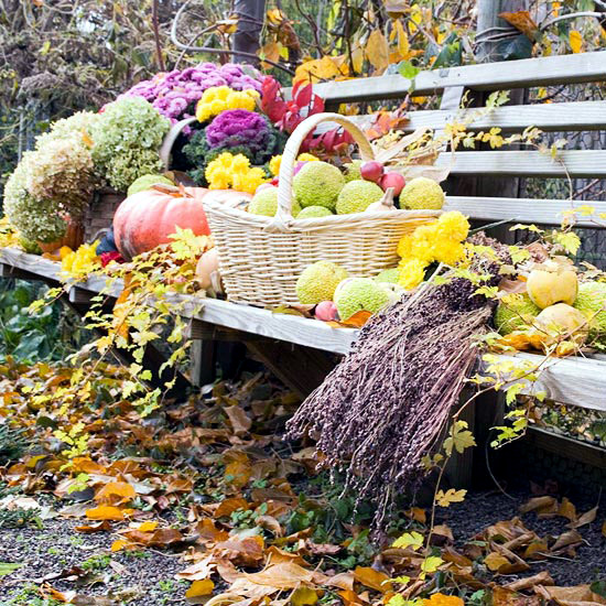 The Garden in Autumn - Tips and ideas for your fall garden