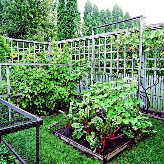 20 important elements of garden design a beautiful garden
