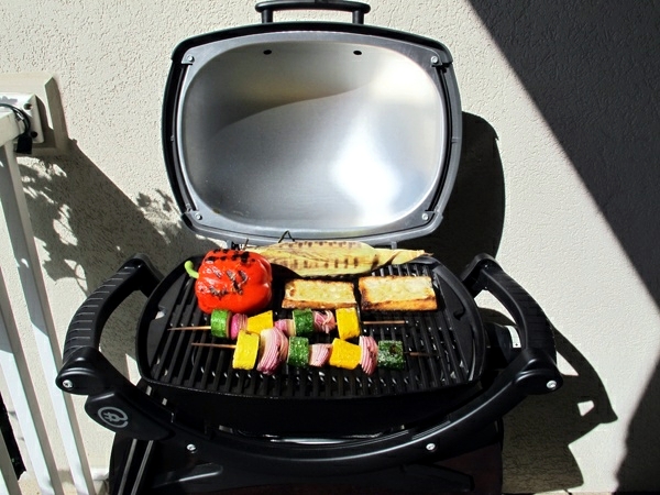 BBQ on the balcony or in the garden - coal gas or electric?