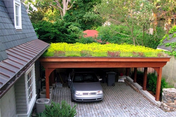 Intensive and extensive green roofs - A tendency to sustainable lifestyle