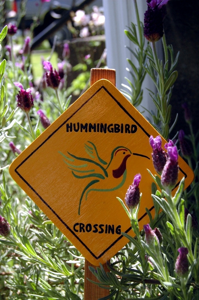 Fun Ideas to decorate the garden a touch of humor