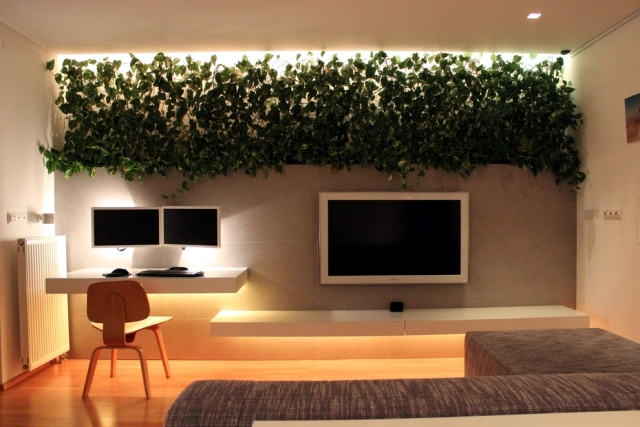 32 ideas for interior decoration plants - creative containers and packages