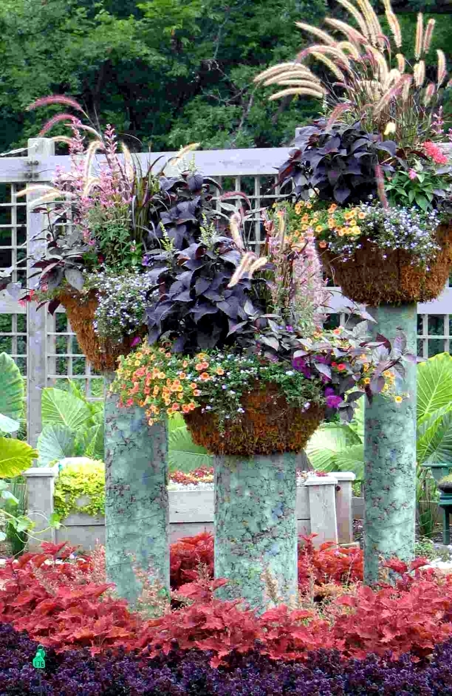 A variety of ideas for flower pots bring a breath of fresh spring