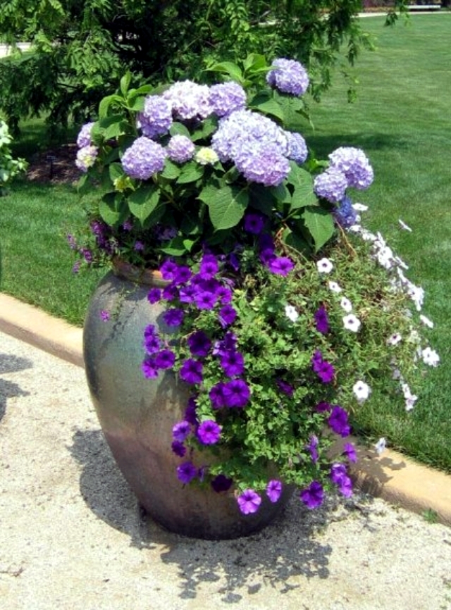 A variety of ideas for flower pots bring a breath of fresh spring