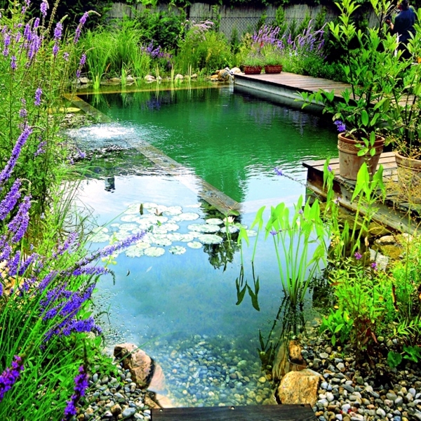 Swimming pond build - benefits of natural pool in the garden