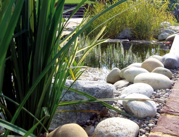 Swimming pond build - benefits of natural pool in the garden