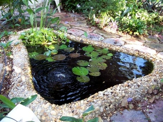 How to build a garden pond low maintenance itself in 7 Steps