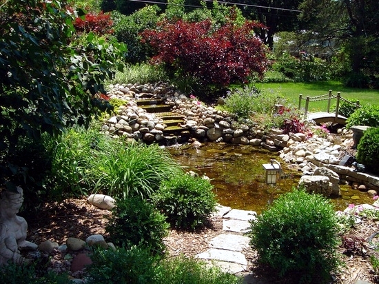 How to build a garden pond low maintenance itself in 7 Steps