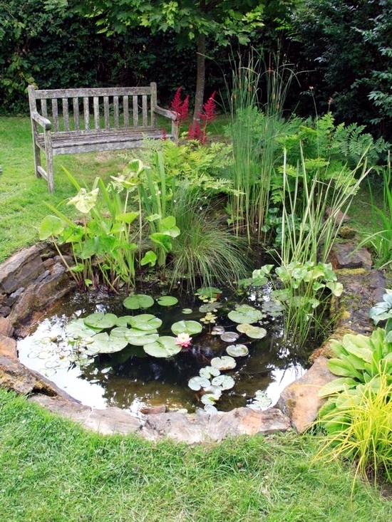 How to build a garden pond low maintenance itself in 7 Steps