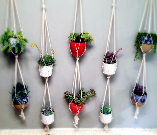 Camera design with green plants hanging planters and pots