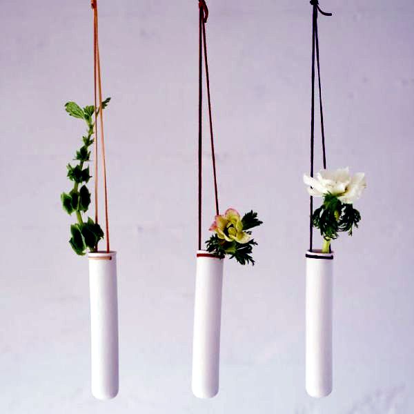 Camera design with green plants hanging planters and pots