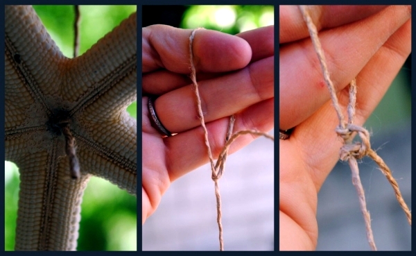 Sommerdeko in the garden - wind chimes shells tinker same