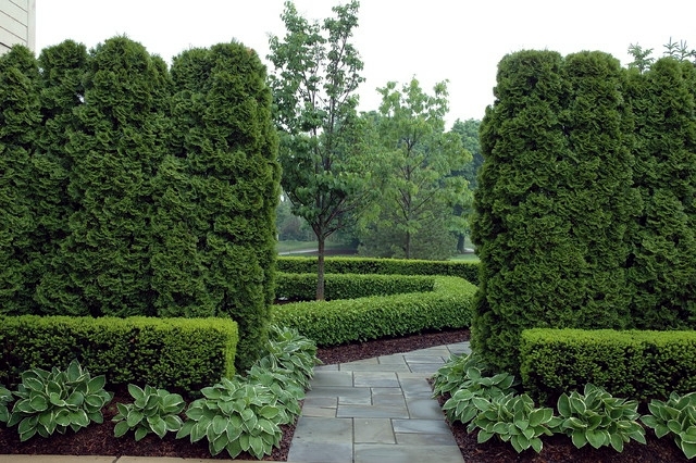 Cut 22 ideas for garden design spring-Buchsbaum