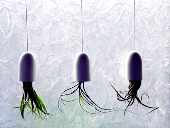 Tinker suspended planters - a great idea for mini terrariums