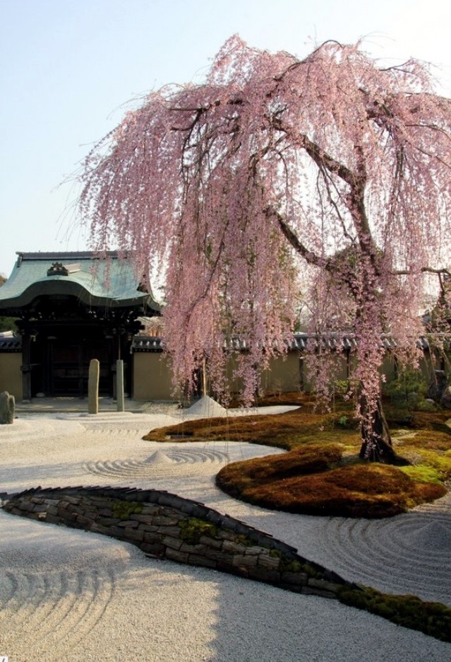 Japanese Garden Design - important to know the construction of the dry garden
