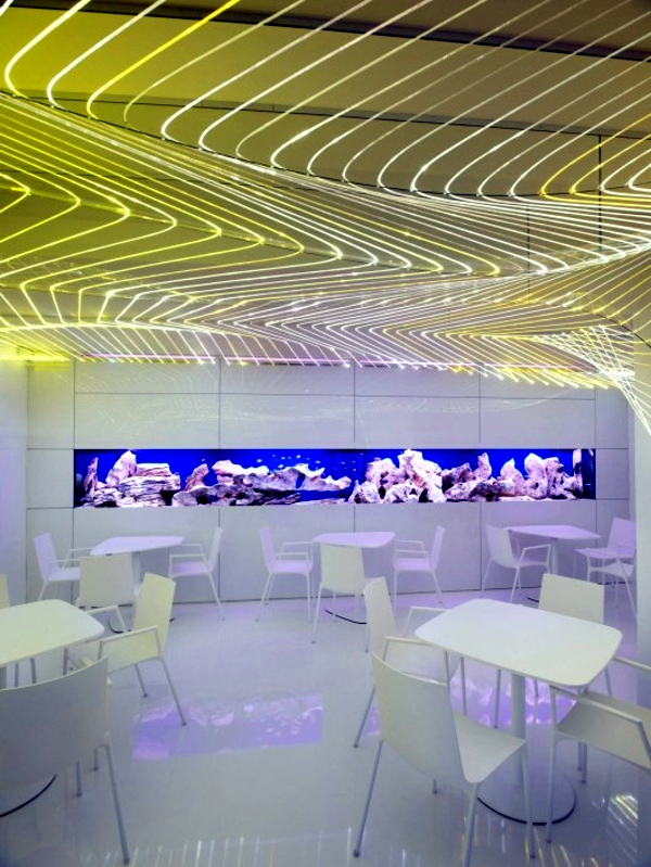 Bar Aquarium modern studio environment Next Level