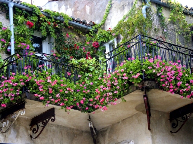 Wind and privacy balconies with flowers and vines