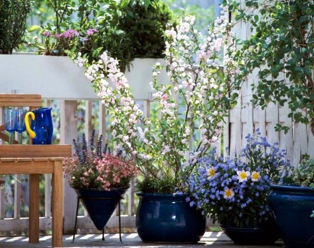 Wind and privacy balconies with flowers and vines