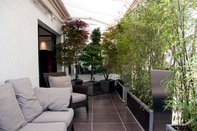 Bamboo balcony privacy screen - ideas with plants, carpets and bars