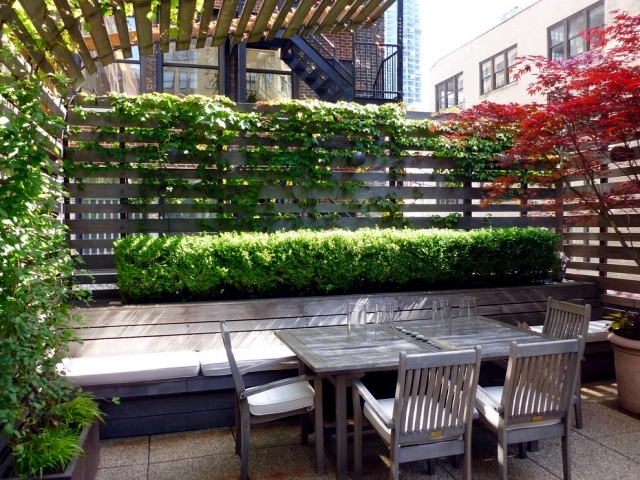 Keep prying eyes - Privacy patio with plants