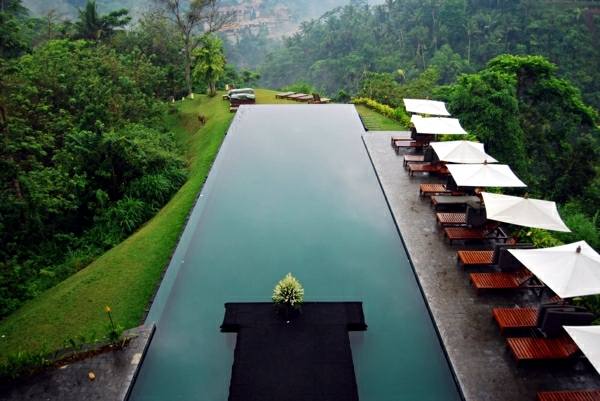 Eco-Friendly Pool Designs - Solar heating and bio-filter
