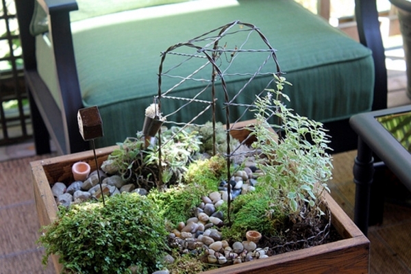 Creating a miniature garden on the coffee table is eve
