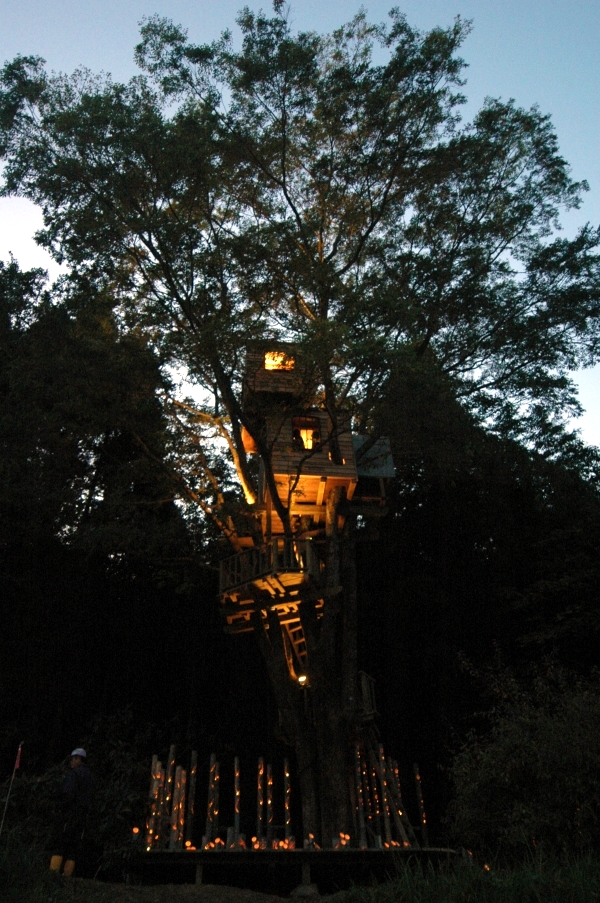 Tree house building in the forest - Amazing Tree Houses by Takashi Kobayashi