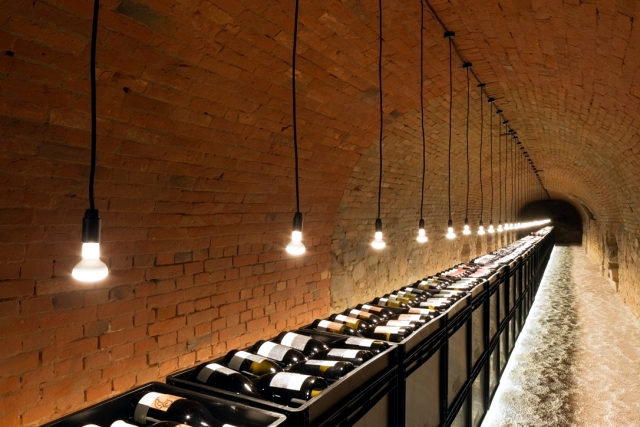 The oldest winery in Wagram - tradition and modern design