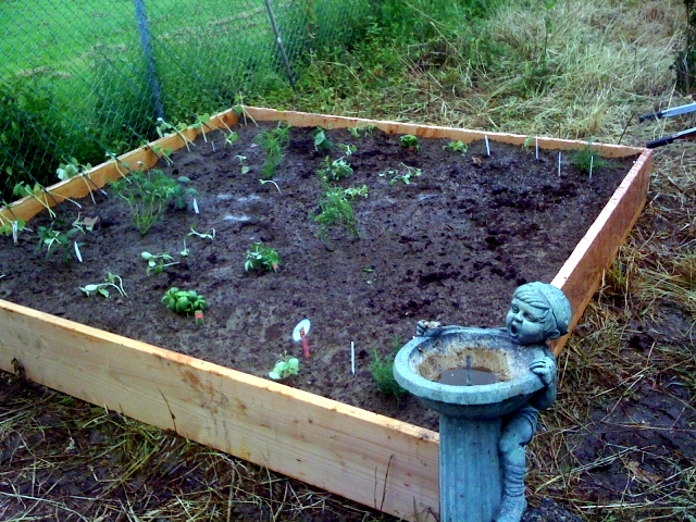 An interesting idea for garden design gardening easier
