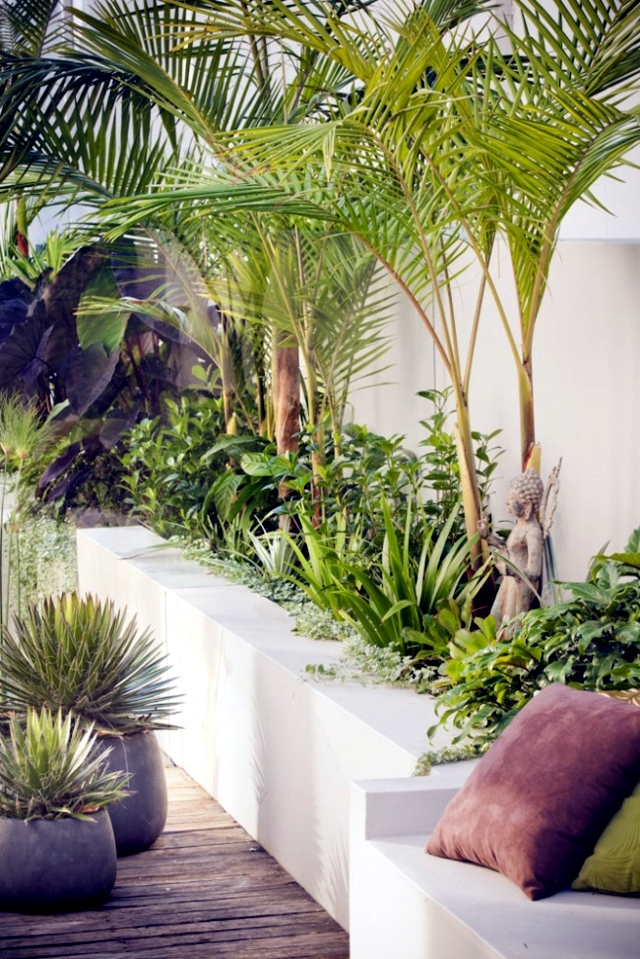 Tortuga in the garden - build modern terrarium in the yard