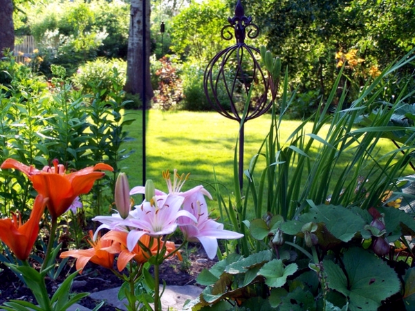 Creating gardens in the spring and summer - flowers and plants