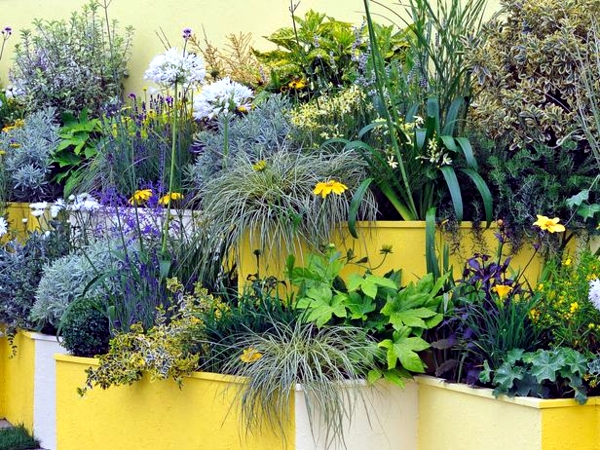 Creating gardens in the spring and summer - flowers and plants